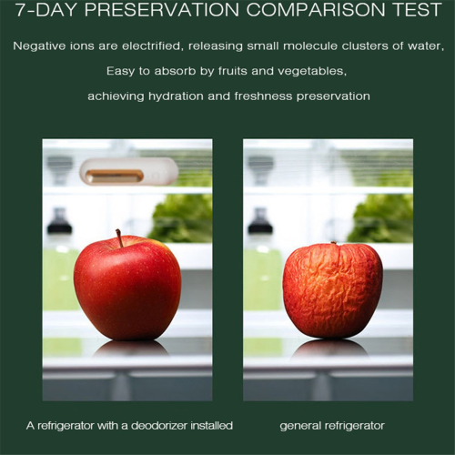 Refrigerator Deodorizer Air Purifier Food Shelf Life Extender 1