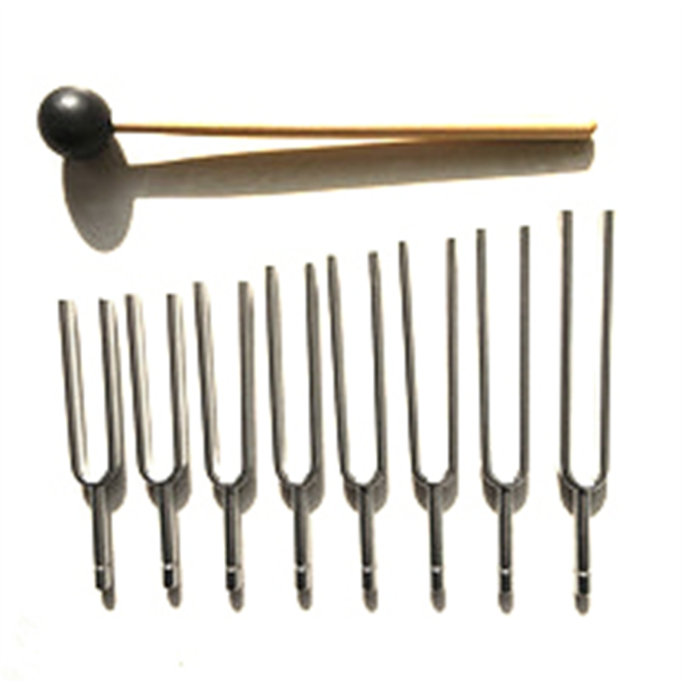 NeznaäKovã© Steel Tuning Fork Set Health Physics Vibration+ Mallet Vibration Tool