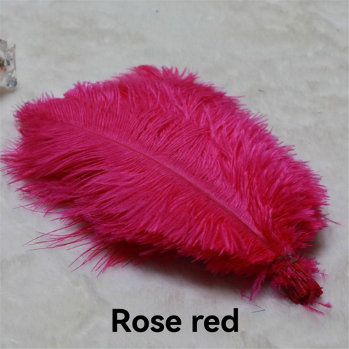 20-25cm Straußenfedern Bühnenauftritte Federn Rosa 2