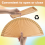 F-Plain Pure Wood Folding Fan Classical Dance Performances Hand Fan 6