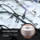 1000 Pieces Optical Eyeglasses Lens Edging Non-Slip Blocking Pads 4