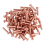 100 Pcs 5/64inch x 25/64inch Round Head Copper Solid Rivets Fasteners 1