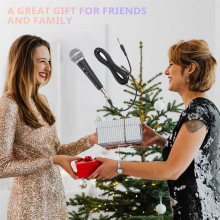 Microfono portatile professionale per esibizioni di musica vocale al karaoke