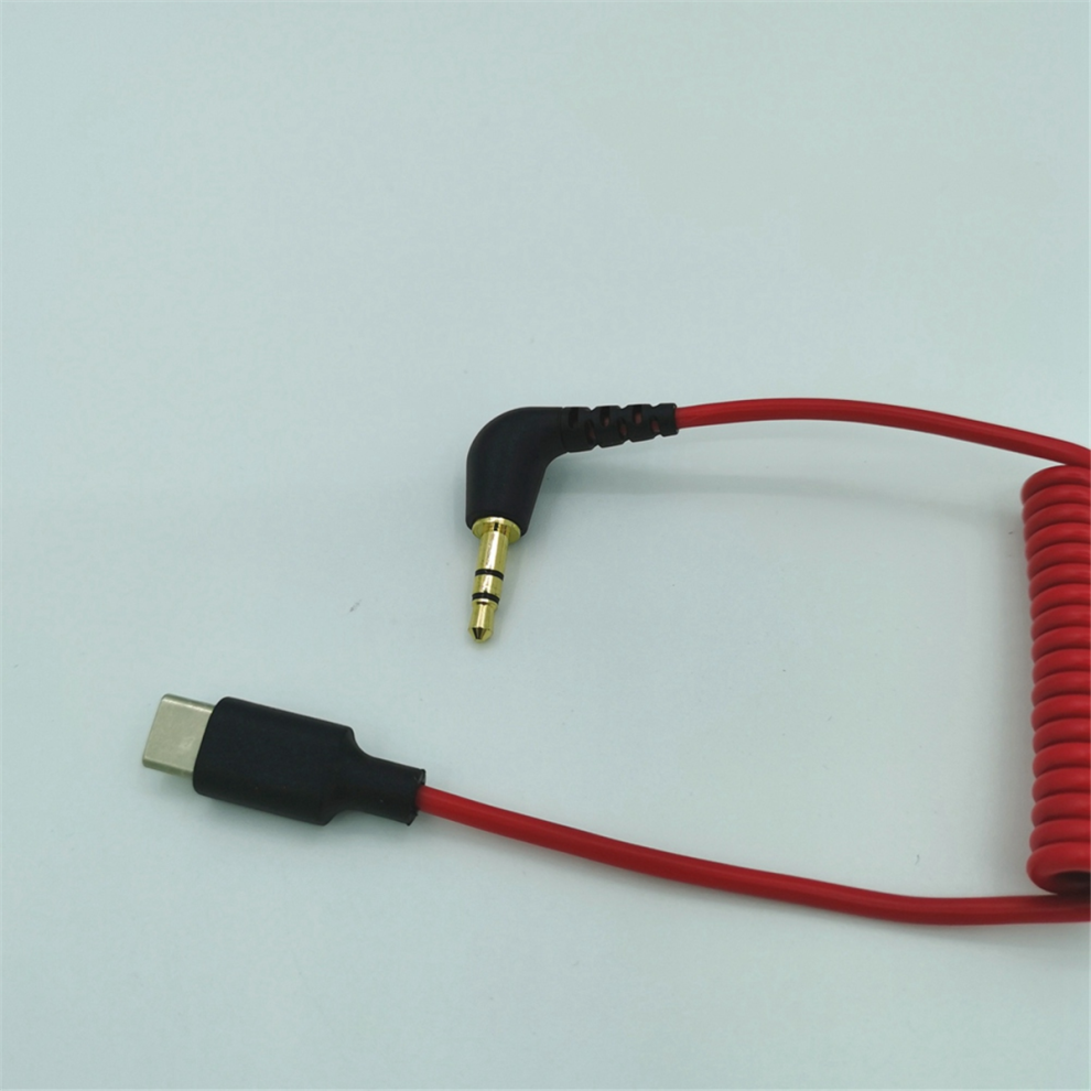 Cavo Da Usb C A 3,5 Mm Per Wireless Go Ii