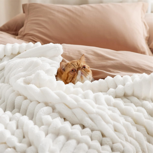 White Throw Blanket for Couch - Cozy Blanket for Women, Cute Throws 2