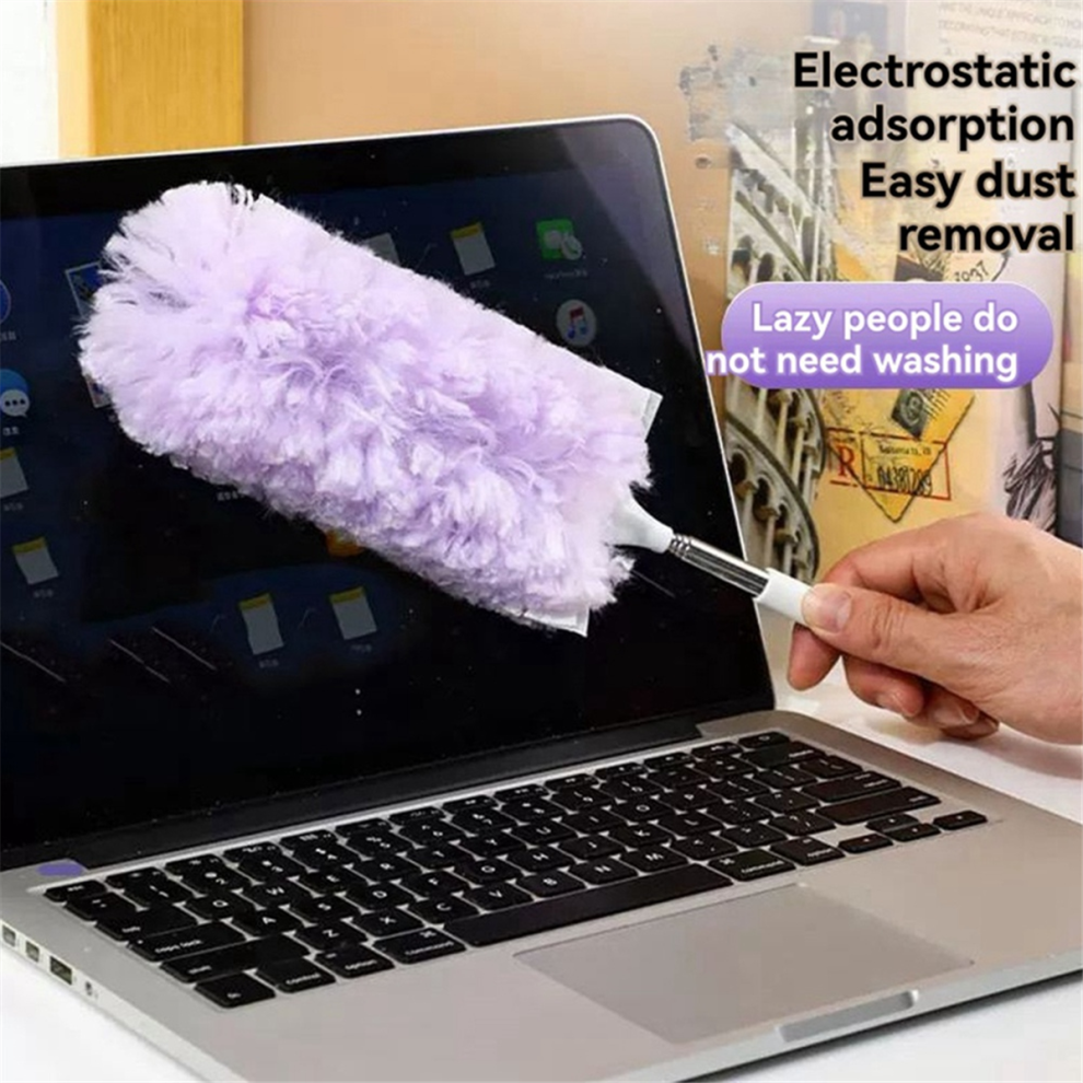 Plumeau à usage domestique pour balayer la poussière Plumeau — free download