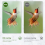 Binoclu mini portabil HD 10x25 IPX4, rezistent la apă 4