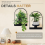 2Pcs Wall Plant Holder ,Wall Planter,Window Plant Shelf 4