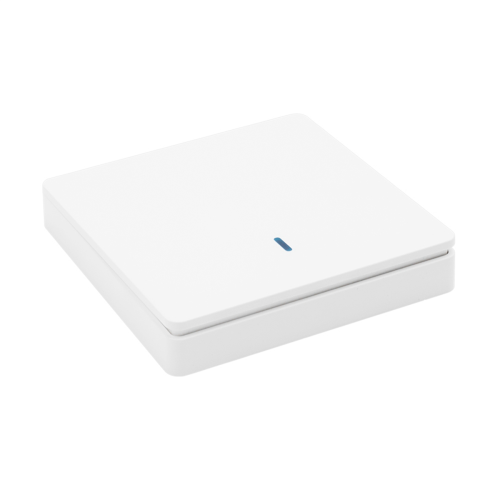 Wireless Smart Light Switch 433MHz AC 90-250V 10A Module(1 W &1 C) 1