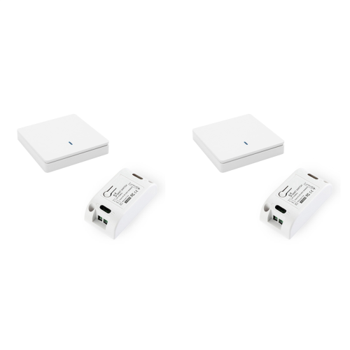 Wireless Smart Light Switch 433MHz AC 90-250V 10A Module(1 W &1 C)