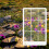 3 κομμάτια σκόπευτρων Fibonacci Σύνθεση View Finder 5