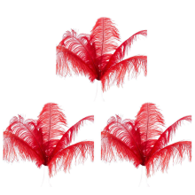 10 Stück Straußenfedern für Hochzeit, Party, Dekoration, Rot, 20–25 cm