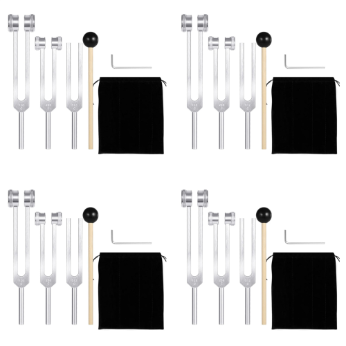 (128Hz, 256Hz, 512Hz) Σετ διαπασών, διαπασών με ανακλαστικό σφυρί 1