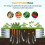 5 x 2 x 1 Ft Galvanized Raised Garden Bed Kit 8