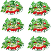 Tuteur pour fraisiers - Universel - Lot de 6 - Diamètre 30 cm - Hauteur 9,5 cm