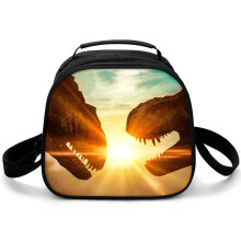 (Z02, ???) Jurassic World Lunch Box for Kids, Portable Lunch Bag, Outdoor Picnic Insulated Bag