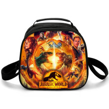 (Z14, ???) Jurassic World Lunch Box for Kids, Portable Lunch Bag, Outdoor Picnic Insulated Bag