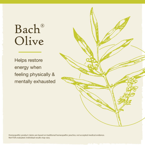 Bach Bach Original Flower Remedies Olive for Energy Natural Homeopathic Flower Essence Holistic Wellness and Stress Relief Vegan 20mL Dropper 2