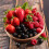 Mixed Berry High Strength Food Flavouring Professional Grade 10ml 2