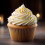 Vanilla Cupcake High Strength Food Flavouring Professional Grade 10ml 2