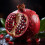 Pomegranate High Strength Food Flavouring Professional Grade 10ml 2