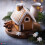 Gingerbread High Strength Food Flavouring Professional Grade 10ml 2