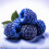 Blue Raspberry High Strength Food Flavouring Professional Grade 10ml 2