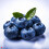 Blueberry High Strength Food Flavouring Professional Grade 10ml 2