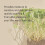 Mixsoon, Centella Reinigungsschaum, 5,07 fl oz (150 ml) 4