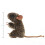 Folkmanis Mini Field Mouse Finger Puppet  Brown 4
