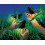 Folkmanis Mini Firefly Finger Puppet  Green  Black  1 EA 4