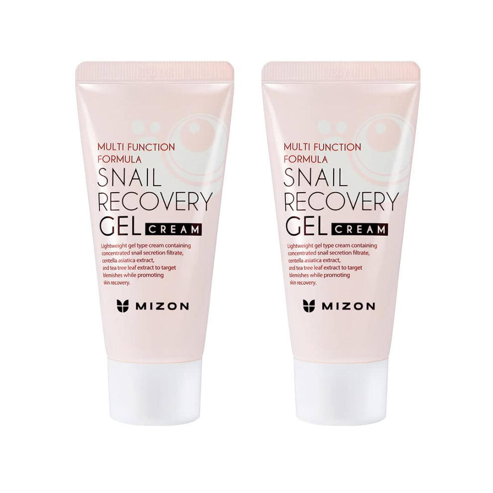 Mizon Cream Set Of Two Snail Recovery Gel Snail Mucin Wrinkle Care Skin Elasticity Moisture Fragrance-Free Paraben-Free Korean Skincare(45