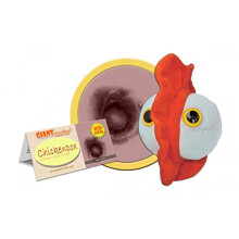 GIANTmicrobes skoldkopper plys - L?r om vacciner og mikrober med denne p?dagogiske plys mindev?rdige gave til b?rnel?ger Familieforskere Folkesun