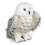 Douglas Douglas Legend Schneeeule Pl   schtier 1