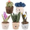 Rhode Island Novelty Pluche Succulent Assortiment (6 stuks) 1