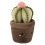 Rhode Island Novelty Pluche Succulent Assortiment (6 stuks) 4