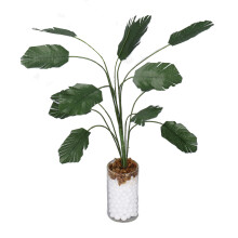 Miniaturmaßstab 1:12 Bananenbaum-Puppenhauspflanze lebendige Bonsai-Dekoration