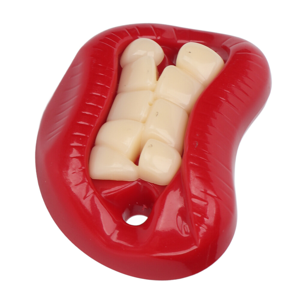 Funny Pacifier BPA Free Silicone Polypropylene Health Teeth Orthodontic Pacifier for Toddler