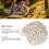 1S Single-Speed-Kette für Mountain- und Rennräder - Silber 11