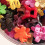 50 Stück 7# Blumenclips - BrightColor Haarclips 5