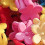 50 Stück 7# Blumenclips - BrightColor Haarclips 12