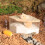 Rechtwinklige Hamster-Sandbad-Box 15x15x9.3cm Eiche 8