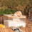 Rechtwinklige Hamster-Sandbad-Box 15x15x9.3cm Eiche 3