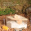 Rechtwinklige Hamster-Sandbad-Box 15x15x9.3cm Eiche 6
