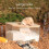 Rechtwinklige Hamster-Sandbad-Box 15x15x9.3cm Eiche 10