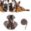 Khaki L Polyester Hundegeschirr Leine 90 g/3,2 oz 4
