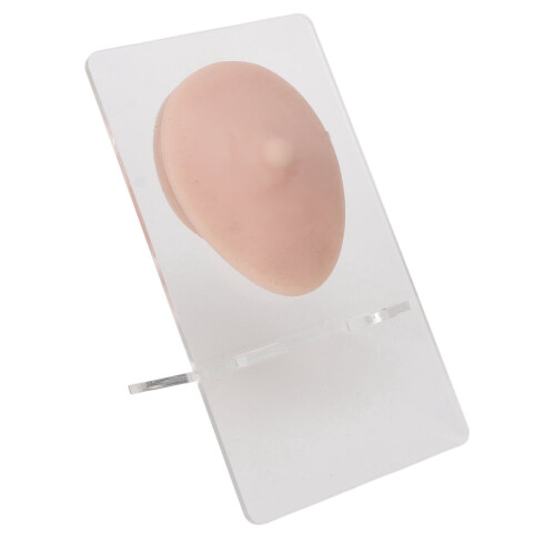 Weiches Silikon-Brustwarzenmodell 3D Elastisch Mittlere Hautfarbe