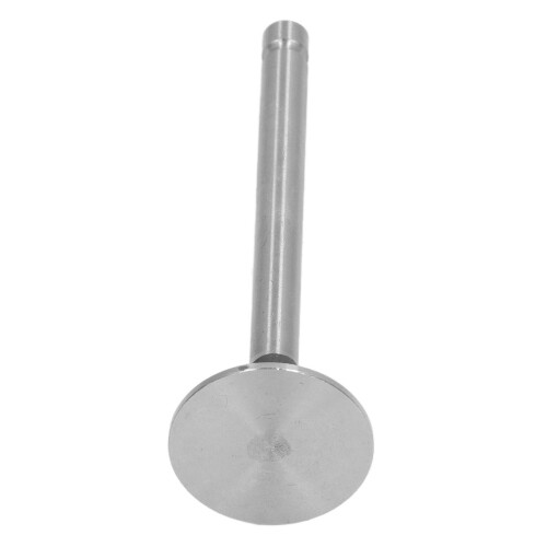 2 Stück Edelstahl-Einlass- und Auslassventil-Set für Mini-Häcksler 186F FA 2