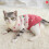 Hoher Kragen 2-beinige Katze Pullover Rosa S warm 4