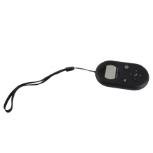 Taschenradio Schwarz 500 mAh 884711 mm LCD mit Hintergrundbeleuchtung